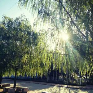 成人无码俱乐部
